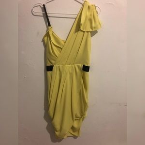 Rachel Roy dress
